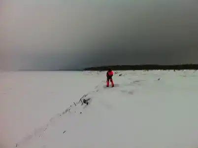 Куя - 37