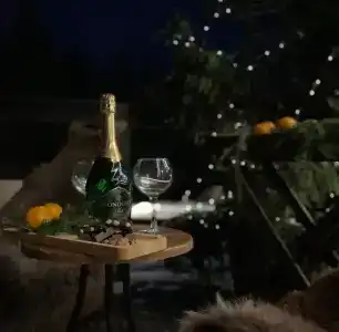 Хвойный Лес - 1