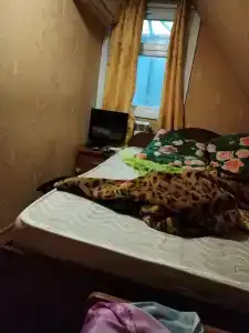 у Петровича - 4