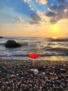 Дом друзей - 29