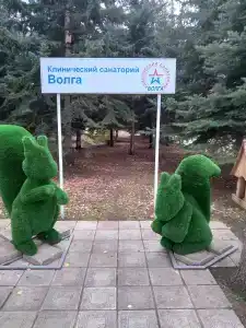 Волга - 51
