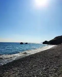 Панорама - 49