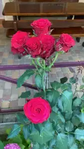 Витязево ул уютная 2а - 3