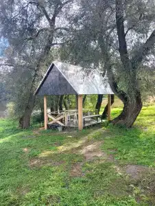 Веселый Роджер - 36