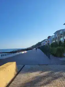 Миндаль - 0