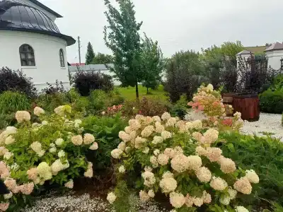 Дом для паломников - 1