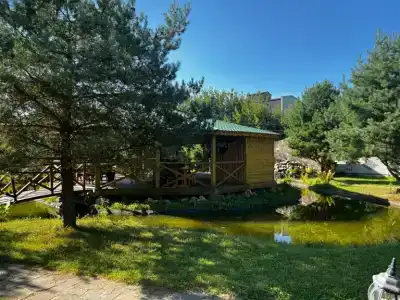 Малый Китеж - 47