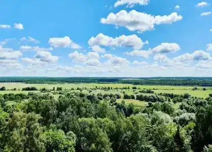 Воробьево - 42