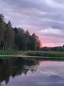 Глэмпинг  Прованс - 73