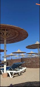 Stella Beach Resort & Spa, Makadi Bay - 11