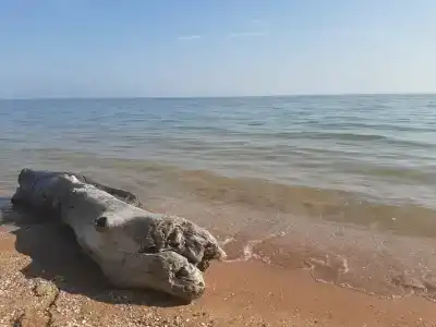 Морская, 51 - 31