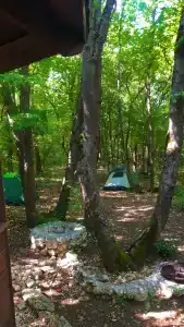Скелепарк - 43