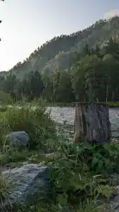 Закуток - 35