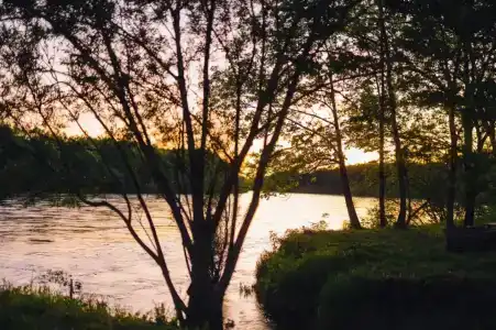 Заимка Узалы - 89