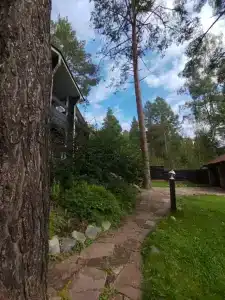 Эдем - Аквамарин - 74