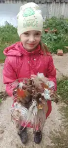 Бриз - 47