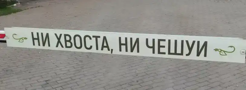 Ихтиолог - 23