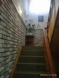 Мустанг - 33