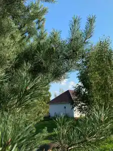Деревня викингов - 4