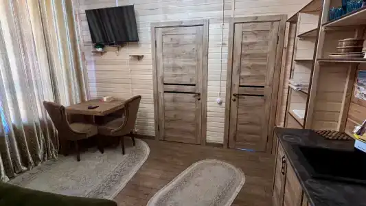 Багира - 38