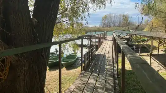 Квартет 3077 - 35