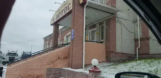 Лотос - 12