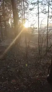 Берег - 41
