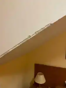 Мон Плезир - 61