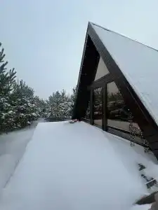 Forest camp - 19