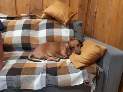 Магия леса - 35