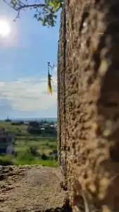 Тишина - 11