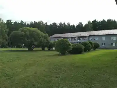 Сосны - 29