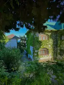 Панорама - 56