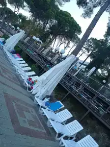 Беларусь - 92