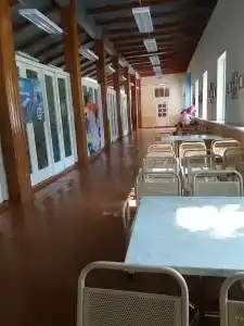 Кедр - 6