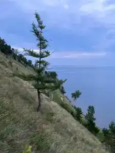 Центр деловых связей ВСЖД - 2