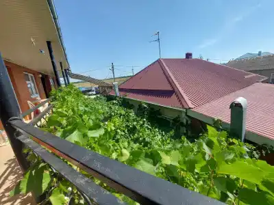 у Петровича - 8
