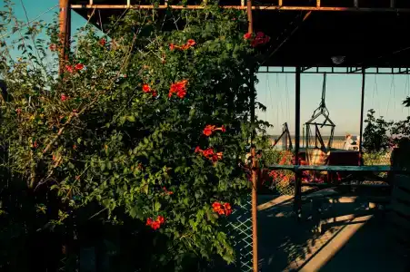 Тихий берег - 68