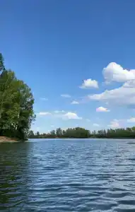 Лесной Остров - 5