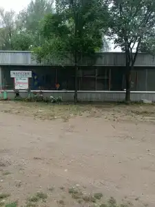Тополя - 44
