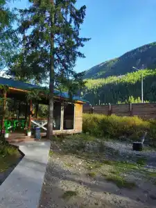 Forest camp - 23