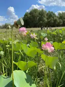 ЕмеляФиш - 4