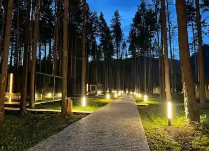 Pinewood resort & SPA - 0