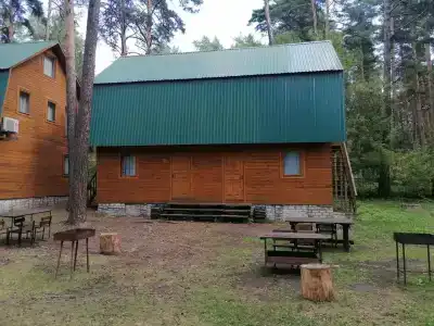 Сосновый бор - 18