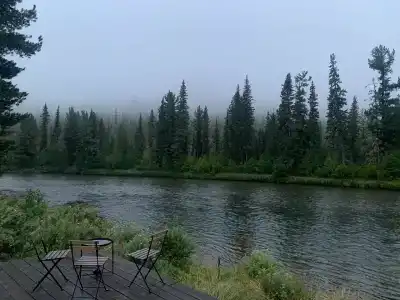 Мамонт - 46
