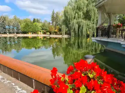 Богородское - 40