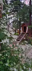 Усадьба Добрыня - 69