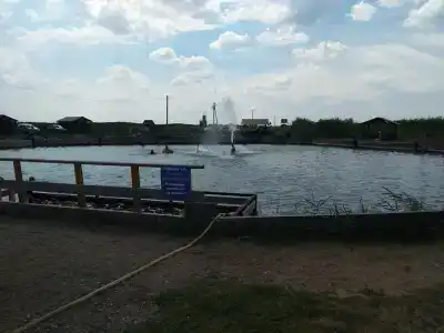 Сероводородный источник - 21