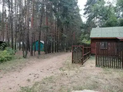 Россия - 32