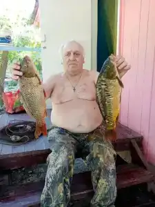 Астра - 26